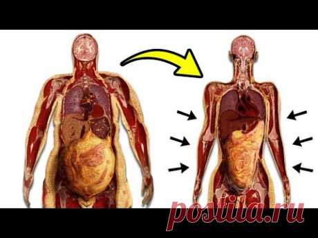 Как Избавиться От ВИСЦЕРАЛЬНОГО ЖИРА за 10 МИНУТ в день