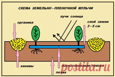 Земельнопленочное мульчирование.rtf — Просмотр документов