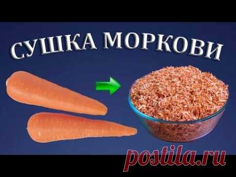 Как сушить морковь в электросушилке? | Сушеные овощи | Еда в поход