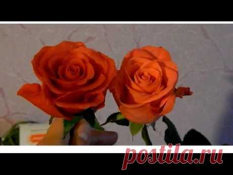 ▶ Розы из холодного фарфора мастер класс без специальных инструментов - YouTube