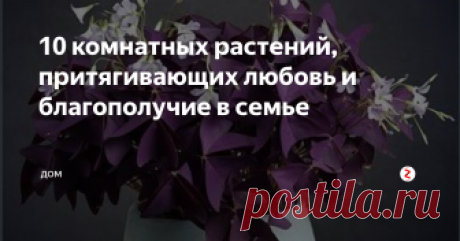 10 комнатных растений, притягивающих любовь и благополучие в семье 10 комнатных растений для мира и любви в семье!