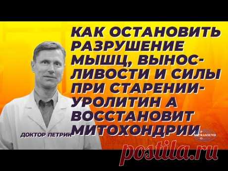 Как остановить разрушение мышц, выносливости и силы при старении. Уролитин А восстановит митохондрии