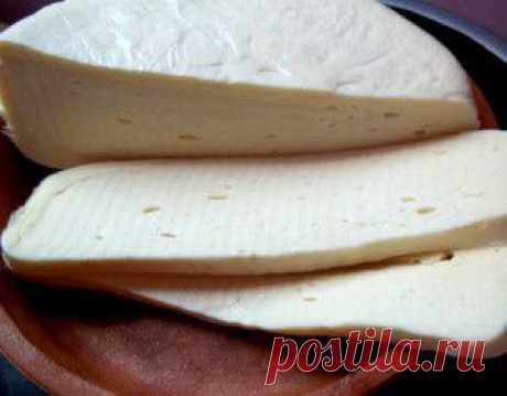 Домашний сыр сулугуни – рецепт домашнего сыра | Готовим классно