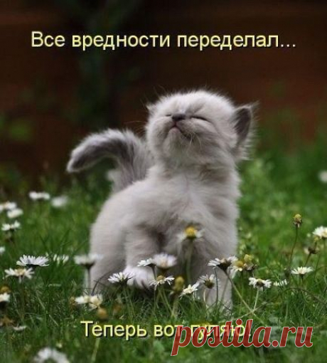 Мой Мир@Mail.Ru