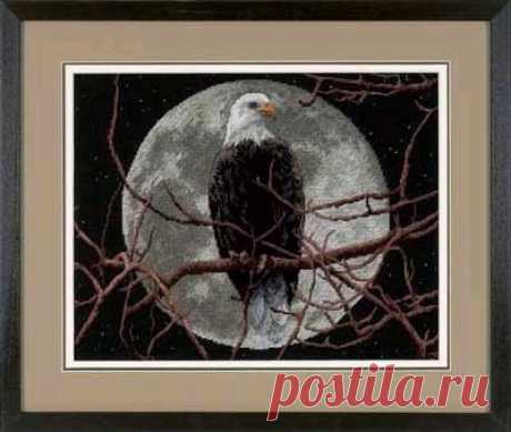 Gallery.ru / Фото #1 - Орел в лунном свете - Egira