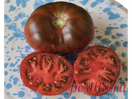 Новые сорта томатов от лучших фирм производителей | Записки огородницы | Яндекс Дзен