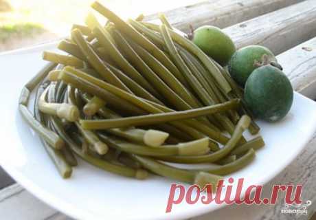 Маринованный зеленый лук на зиму - пошаговый кулинарный рецепт с фото на Повар.ру