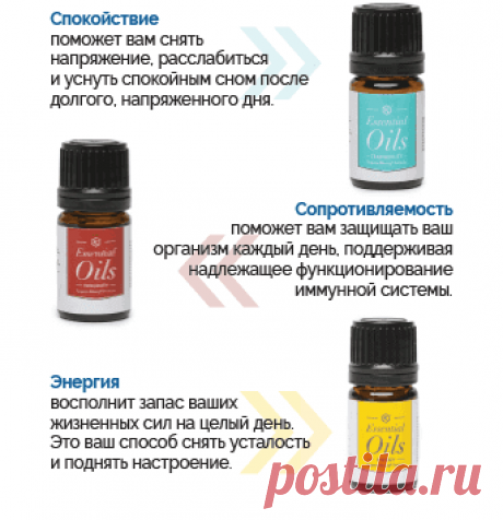 Эфирные масла (Kannaway Essential Oils)
Это Ботанические масла, растительные экстракты би-бонг и
натуральные терпены содержащиеся в эфирных маслах от Kannaway, используются преимущественно для глубокого спокойствия души и тела, а также поднятия сил и настроения.