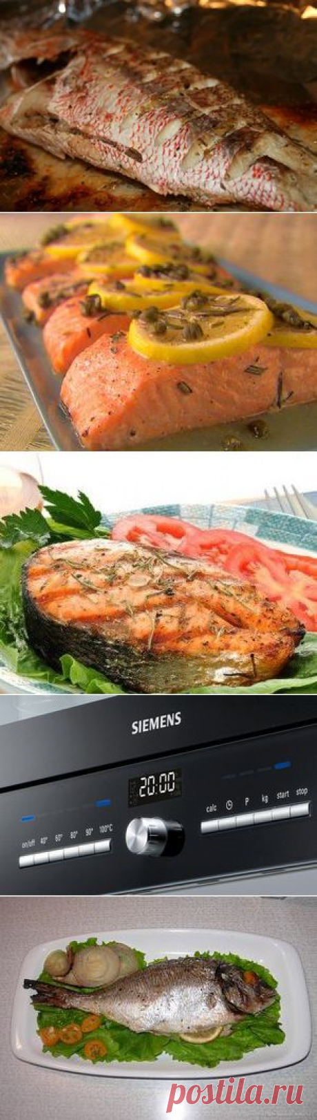 Рецепт приготовления рыбы в духовке: время приготовления красной рыбы
