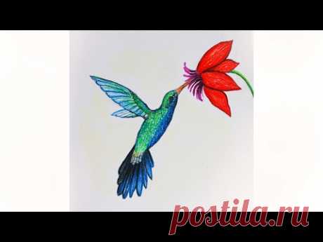 Уроки рисования. Как нарисовать птицу КОЛИБРИ пастелью