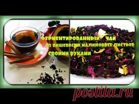 Ферментированный чай из листьев малины и вишни/своими руками/fermented tea, cherry and raspberry - YouTube