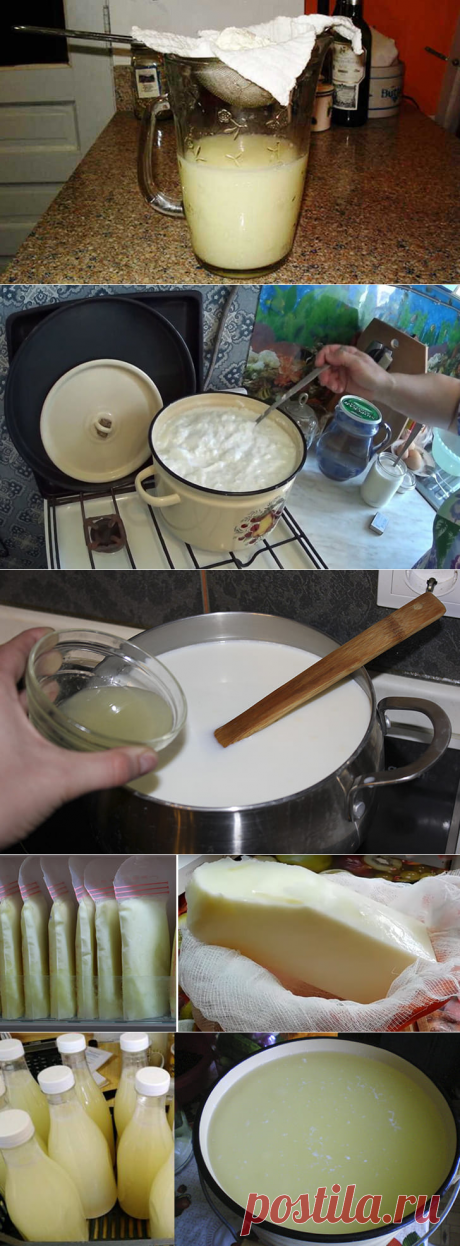 Как сделать сыворотку из молока в домашних условиях