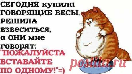 Не ждите понедельника, удачного момента или особого настроения. Пусть ваше первое действие в направлении стройности произойдет спонтанно, без пауз и промедлений. 3 ИЮЛЯ, в 15:00 по московскому времени. Открытый экспресс-урок в Академии  питания! Вход на занятие по ссылке:   https://21.ak-pitaniya.com/