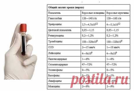 (13) Одноклассники