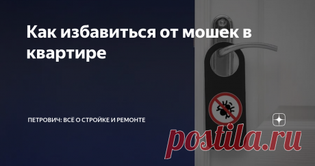 Как избавиться от мошек в квартире Статья автора «Петрович: всё о стройке и ремонте» в Дзене ✍: Надкушенное яблоко, оставленное вечером на кухне, уже утром окружает рой плодовых мошек?