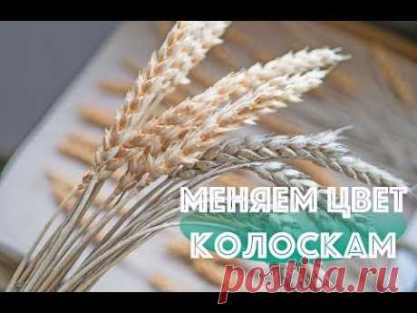 Меняем цвет колоскам DIY Tsvoric Change the color of the spikelets