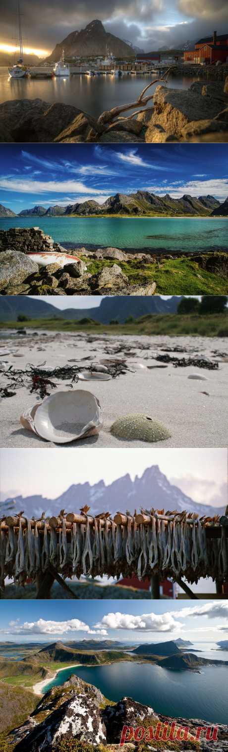 Красота Норвегии. Путешествие по Лофотенским островам | ТАЙНЫ ВСЕЛЕННОЙ