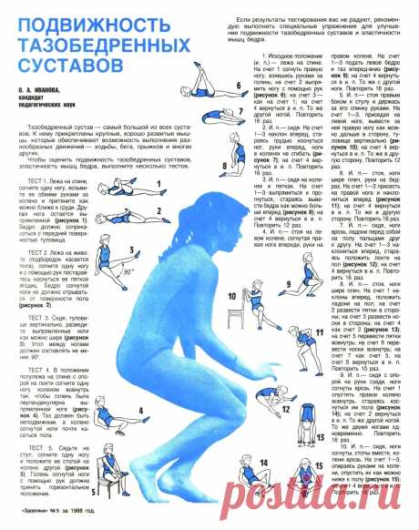 Упражнения для подвижности тазобедренных суставов