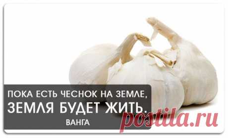 Пока есть чеснок на земле, земля будет жить. Ванга 

 Текст автора публикуется в неизменном виде.

У меня есть редкий проверенный веками рецепт, которым я хочу поделиться с вами. Этот рецепт от очень многих болезней. А пришёл он ко мне совершенно случайно. Были мы с подругой на выставке косметики. Целый день ходили. Всё очень интересно. Но устали и решили попить чайку с бутербродами. Подруга достала термос. Сидим, пьём. Рядом присела женщина.

Подруга предложила ей чаю. Же...