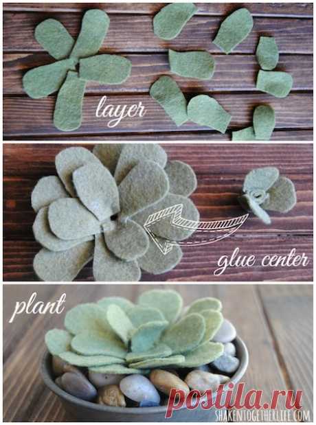 How to Make Paper and Felt Succulents | Curbly