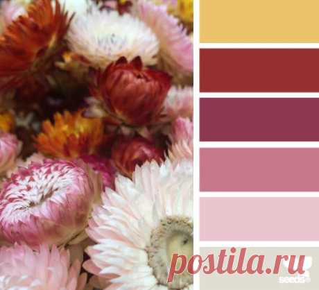 Design Seeds® | find your palette