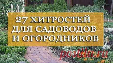 27 хитростей для садоводов и огородников | дачные хитрости