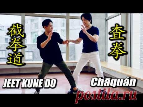 Обмани врага! Chāquán and JEET KUNE DO【Kata, Spy, Broken Rhythm】