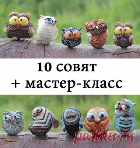 10 совят и мастер-класс!