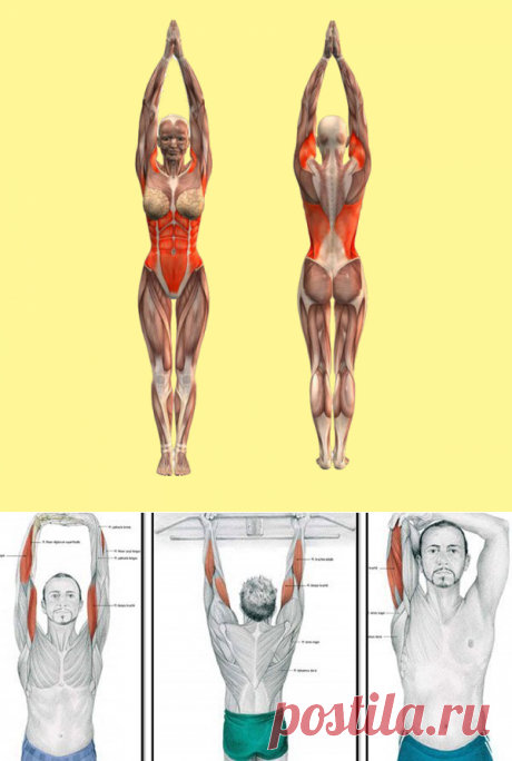 Вы удивитесь! Одно простейшее движение оздоровит тело! | Всегда в форме!