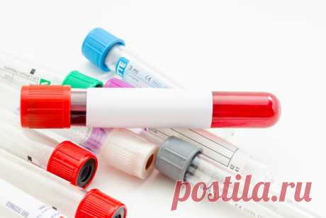 Биохимический анализ крови — норма и расшифровка. Читать и понимать | WebVinegret