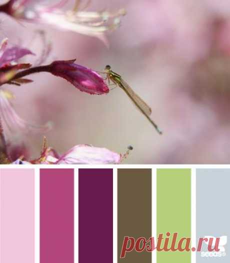 Design Seeds® | find your palette