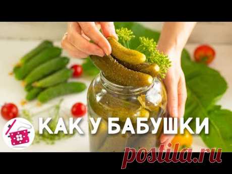 Урожай ОГУРЦОВ в Банке🌞 Огурцы соленые на Зиму, как у Бабушки ❤️ Готовим Дома ОГУРЧИКИ как из БОЧКИ