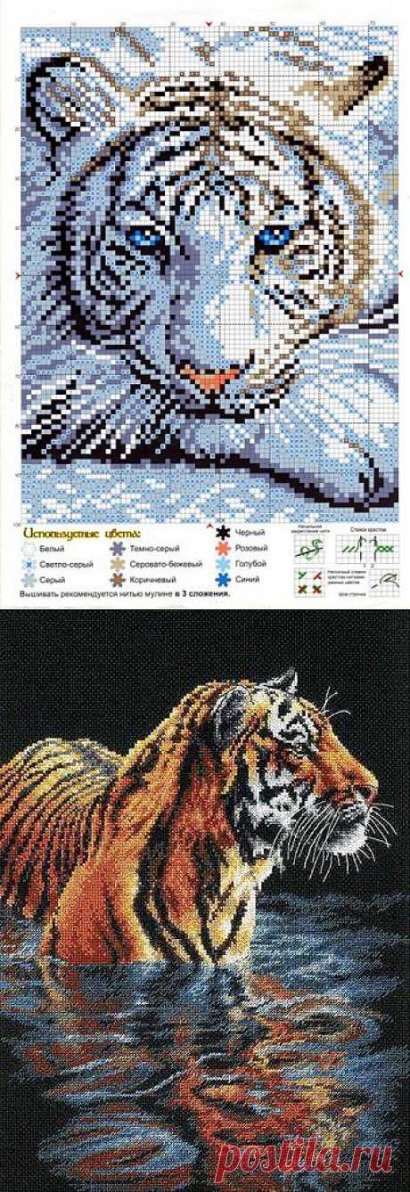 Вышивка крестом тигры бесплатные схемы - Вышивка фото
