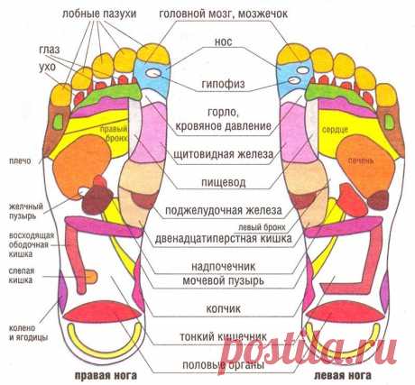ПРОСТОЙ МЕТОД РЕФЛЕКТОРОГО МАССАЖА, ПОМОЖЕТ ОТКАЗАТЬСЯ ОТ КУРЕНИЯ! 
Рефлекторный массаж стоп поможет отказаться от курения Известно, что на ладонях, ступнях, ушных раковинах человека располагается бесчисленное множество рефлекторных точек, при надавливании на которые…