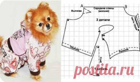 Одежда для собак своими руками: выкройки, как сшить для больших и маленьких пород комбинезон, костюмы, наряды для той-терьера, шпица, чихуахуа + фото и видео