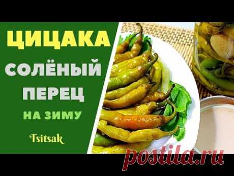 Цицака солёный перец на зиму Tsitsaka