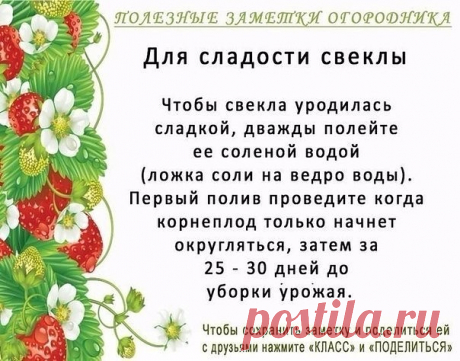 Полезные заметки