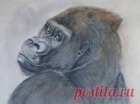 Gorilla's Celebrity Pose by Kelly Mills Gorilla's Celebrity Pose Painting by Kelly Mills