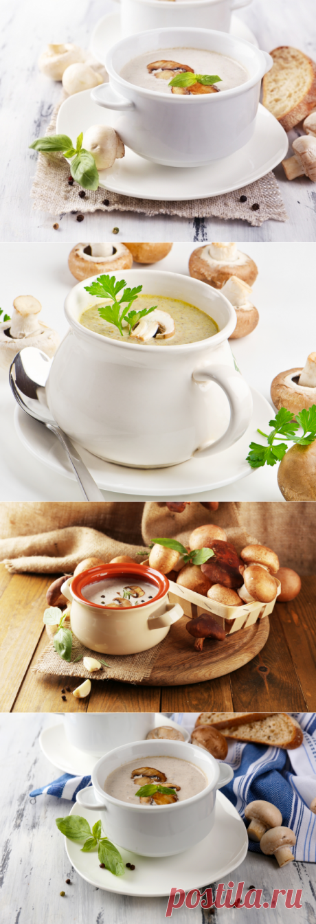 Рецепты вкуснейшего грибного крем-супа: 4 варианта блюда с шампиньонами