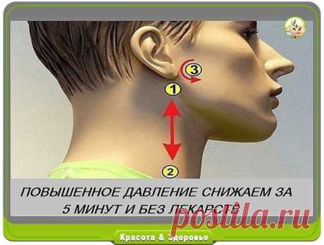 Как снизить давление за 5 минут без лекарств?

Точки 1 и 2
Линия начинается немного ниже мочки уха и идет вниз по шее как показано на рисунку. Не надавливай на эту линию, а лишь легко проведи по ней от начала до конца, нежно касаясь кончиками пальцев. Повтори процедуру 10 раз с обеих сторон головы.

Точка 3
Следующая линия начинается на высоте мочки уха и двигается дугой по направлению к носу. Легко массажируй линию с обеих сторон кончиками пальцев. Не надавливай на кожу. ...