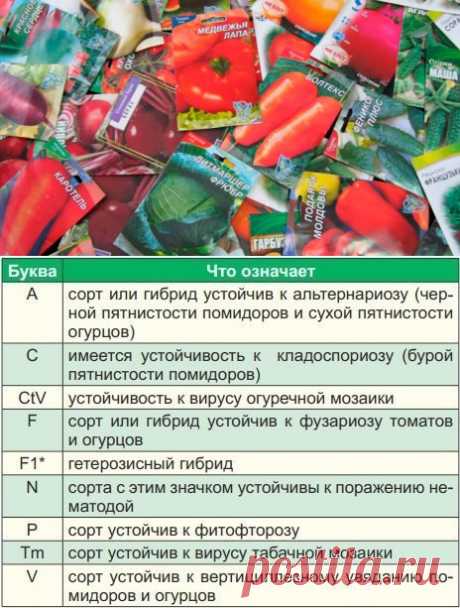 Что написано на пакетиках с семенами