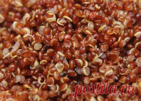 Киноа крупа - полезные свойства, противопоказания, состав и калорийность злака, способ приготовления полезной во всех отношениях каши Quinoa, видео о пользе и вреде для организма квиноа с большим количеством растительного белка