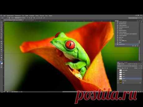 Базовые знания по фотошопу для новичков и чайников - YouTube