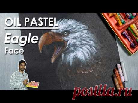 How to Draw An Eagle Face in Oil Pastel | easy steps to follow