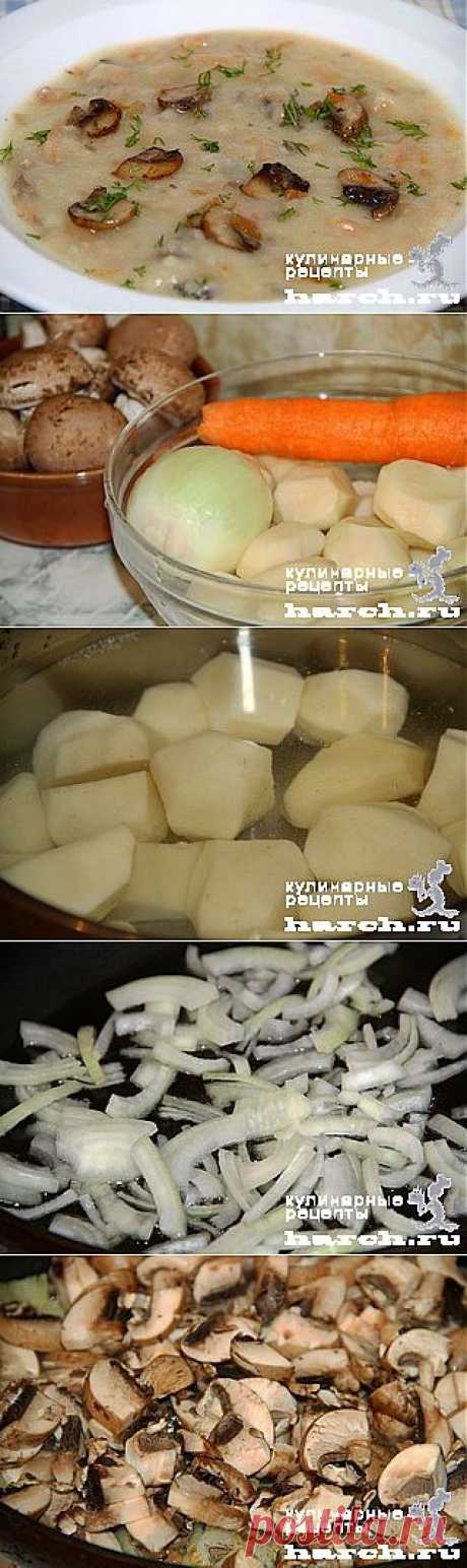 Картофельный суп-пюре с грибами | Харч.ру - рецепты для любителей вкусно поесть