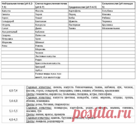 Таблица совмиестимости овощей с кислотностью почвы https://sianie54.ru/sale/izmeriteli-testery/analiz-kislotnosti-pochvy-rn-1-obrazets/