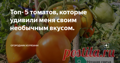 Топ- 5 томатов, которые удивили меня своим необычным вкусом. Добрый день, дорогие садоводы и огородники!  У нас сегодня утром в Рязани прошёл дождь и температура воздуха снизилась до +28°С, в огороде стало легче работать. Сейчас я собираю урожай томатов и выпускаю семена.  И конечно занимаюсь дегустацией новых сортов, это очень увлекательное занятие, я всегда привлекаю к нему всю семью.  Итак, сегодня обсудим 5 новых сортов, которые оказались безумно вкусными по мнению все...