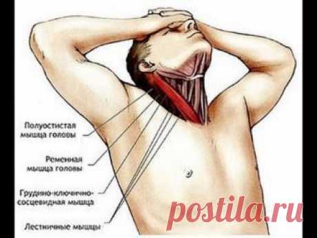 Как расслабить мышцы шеи
