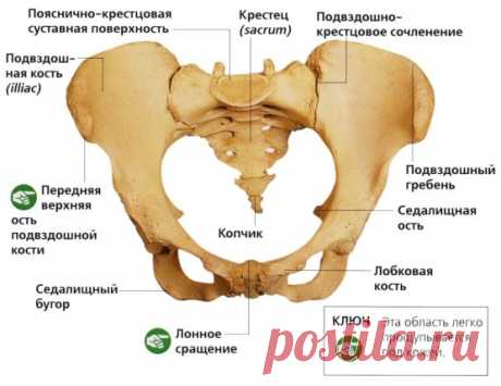 Лечение артроза крестцово-подвздошных сочленений