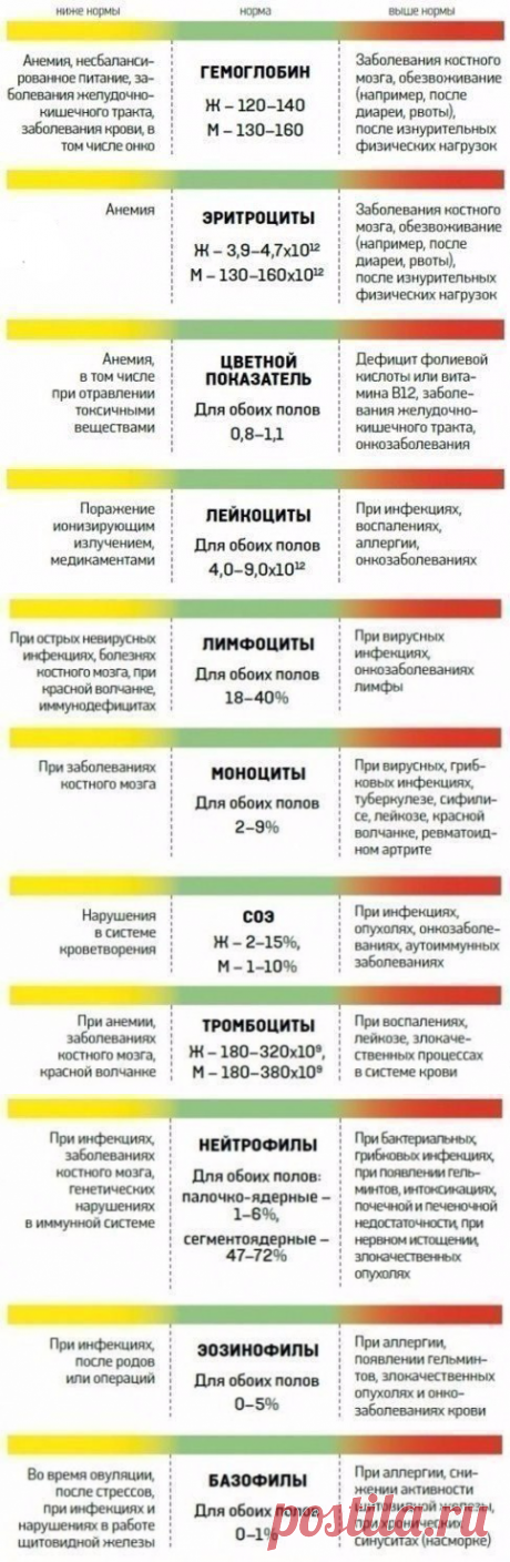 О чем расскажет анализ крови — Полезные советы